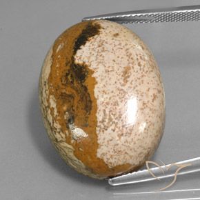 34.16ct 天然 彩色 碧玉, 椭圆形, 不透明