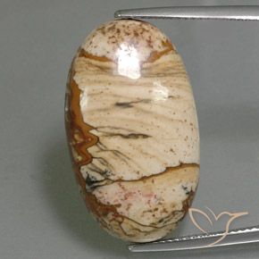 18.14ct 天然 彩色 碧玉, 椭圆形, 不透明