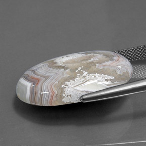 24.90克拉天然碧玉，椭圆形切割，不透明