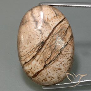 40.47ct 天然 彩色 碧玉, 椭圆形, 不透明