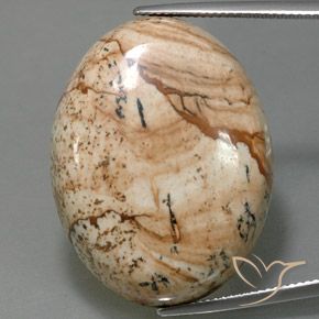 44.54ct 天然 彩色 碧玉, 椭圆形, 不透明