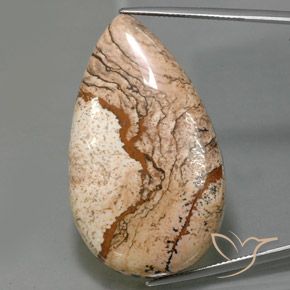 73.69ct 天然 彩色 碧玉, 梨形, 不透明