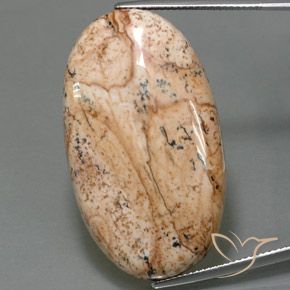 49.05ct 天然 彩色 碧玉, 椭圆形, 不透明
