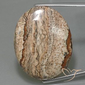 49.58ct 天然 彩色 碧玉, 椭圆形, 不透明