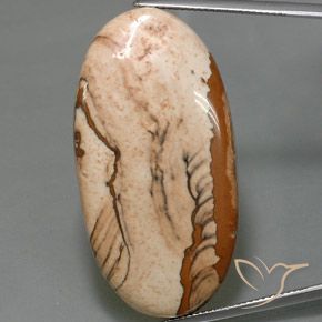44.16ct 天然 彩色 碧玉, 椭圆形, 不透明