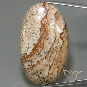 56.03ct 天然 彩色 碧玉, 椭圆形, 不透明