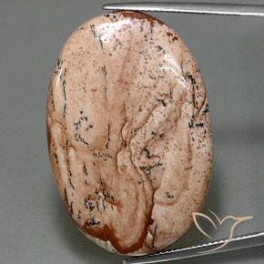 40.50ct 天然 彩色 碧玉, 椭圆形, 不透明