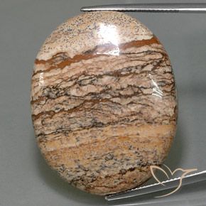 65.05ct 天然 彩色 碧玉, 椭圆形, 不透明