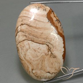 61.25ct 天然 彩色 碧玉, 椭圆形, 不透明