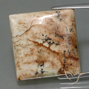 25.13ct 天然 彩色 碧玉, 正方形, 不透明, Photo A