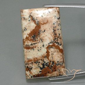 26.28ct 天然 彩色 碧玉, 狭长方形, 不透明