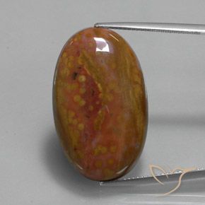 27.84ct 天然 彩色 碧玉, 椭圆形, 不透明