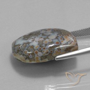 45.73克拉天然碧玉，花式切割，不透明