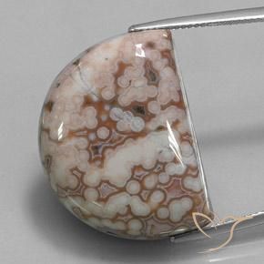 35.32ct 天然 彩色 碧玉, 花式切割, 不透明