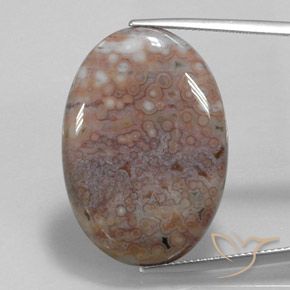 27.34ct 天然 彩色 碧玉, 椭圆形, 不透明