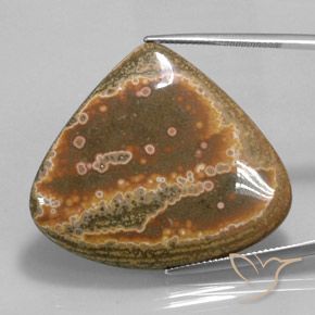 41.62ct 天然 彩色 碧玉, 梨形, 不透明