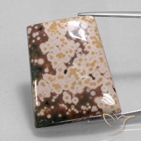 65.30ct 天然 彩色 碧玉, 花式切割, 不透明