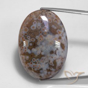 43.68ct 天然 彩色 碧玉, 椭圆形, 不透明