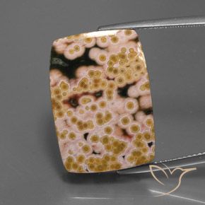20.83ct 天然 彩色 碧玉, 狭长方形, 不透明