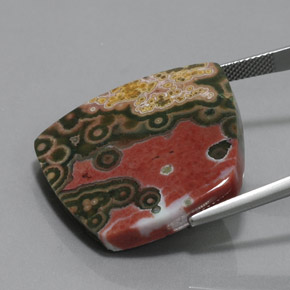 36.00克拉天然多色碧玉，异形，28.5×27毫米，不透明