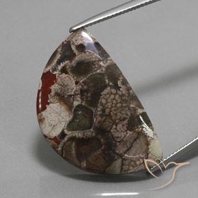 20.05ct 天然 彩色 碧玉, 花式切割, 不透明
