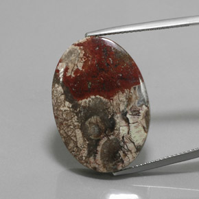 20.06克拉天然多色碧玉，椭圆形切割，26.4×18.6毫米，不透明