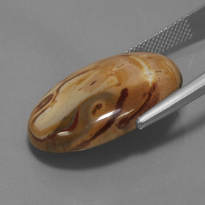 19.06克拉天然碧玉，椭圆形切割，不透明