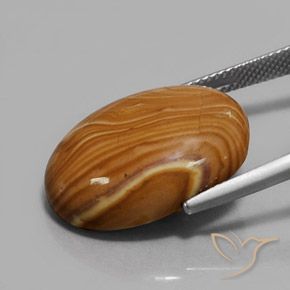 16.90克拉天然碧玉，椭圆形，不透明