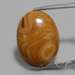 13.26ct 天然 彩色 碧玉, 椭圆形, 不透明