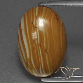 8.92ct 天然 彩色 碧玉, 椭圆形, 不透明