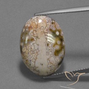 13.22ct 天然 彩色 碧玉, 椭圆形, 不透明