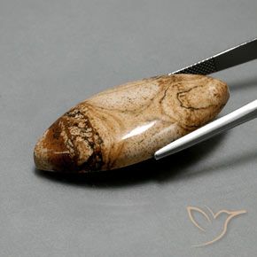 41.94克拉天然碧玉，榄尖形，不透明