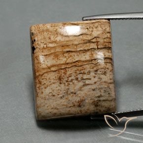 32.30ct 天然 彩色 碧玉, 狭长方形, 不透明