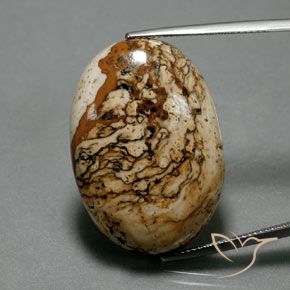 37.73ct 天然 彩色 碧玉, 椭圆形, 不透明