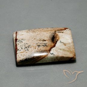 55.92克拉天然碧玉，狭长方形，不透明