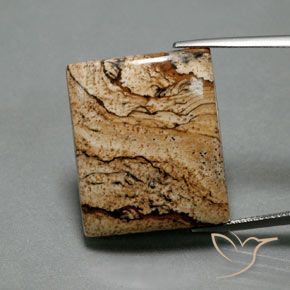 32.75ct 天然 彩色 碧玉, 狭长方形, 不透明