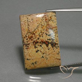 25.27ct 天然 彩色 碧玉, 狭长方形, 不透明