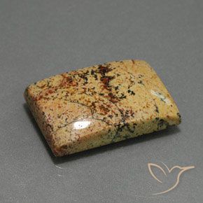 25.27克拉天然碧玉，狭长方形，不透明