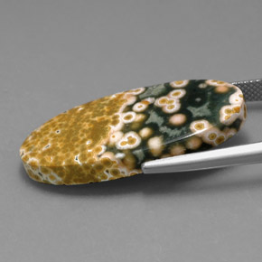 19.53克拉天然碧玉，椭圆形切割，不透明