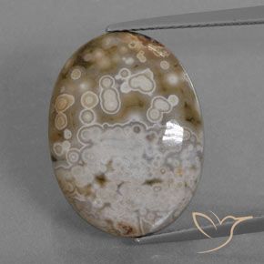 12.72ct 天然 彩色 碧玉, 椭圆形, 不透明