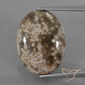 13.00ct 天然 彩色 碧玉, 椭圆形, 不透明