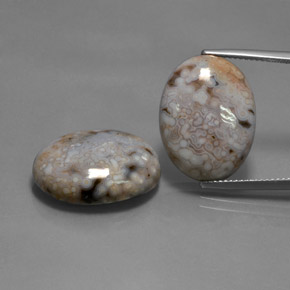 28.35天然多色碧玉，椭圆形切割，20×15.2毫米，不透明