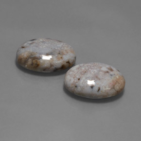28.35天然多色碧玉，椭圆形切割，20×15.2毫米，不透明