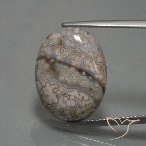 12.39ct 天然 彩色 碧玉, 椭圆形, 不透明, Photo A