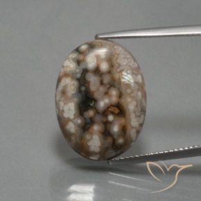 12.87ct 天然 彩色 碧玉, 椭圆形, 不透明