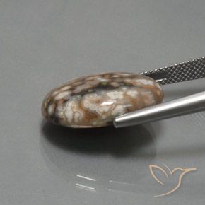 12.87克拉天然碧玉，椭圆形，不透明