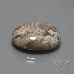 14.73克拉天然碧玉，椭圆形，不透明