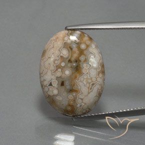 11.83ct 天然 彩色 碧玉, 椭圆形, 不透明