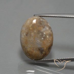 15.30ct 天然 彩色 碧玉, 椭圆形, 不透明