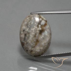14.48ct 天然 彩色 碧玉, 椭圆形, 不透明, Photo A